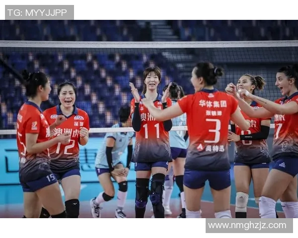 深圳排球队在杯赛中的战术表现分析与未来发展展望