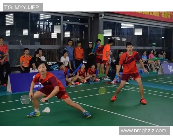 北京羽毛球队杯赛技术分析与表现评估全面解读