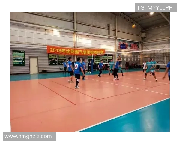 武汉排球队在全国排球力量排行榜中荣获第十名展现强劲实力与潜力