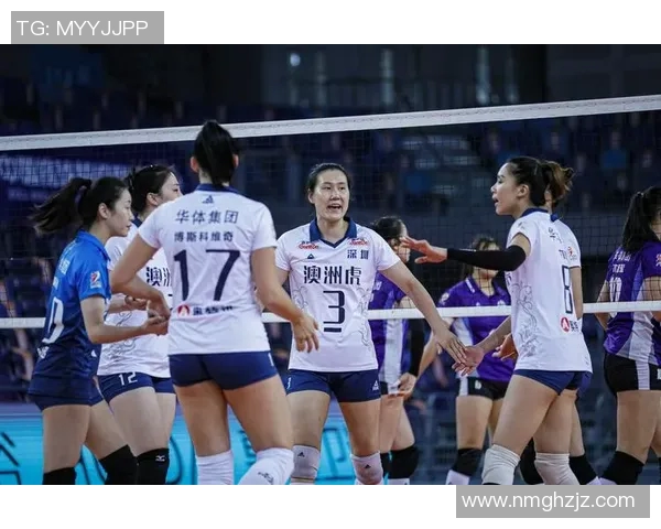 深圳排球队团队协作新模式引发热议助力竞技水平提升