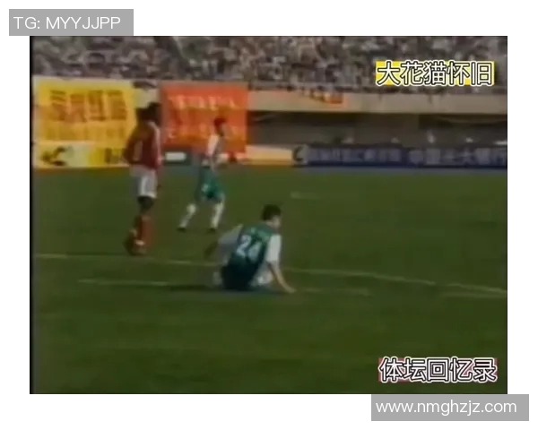 深圳羽毛球队挑战赛特别报道：从默默无闻到巅峰之路的奋斗与荣耀