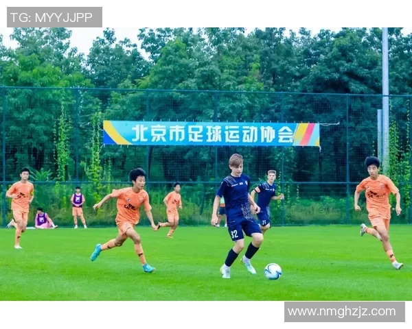 少年苏白追梦足球场成就明星之路的励志故事